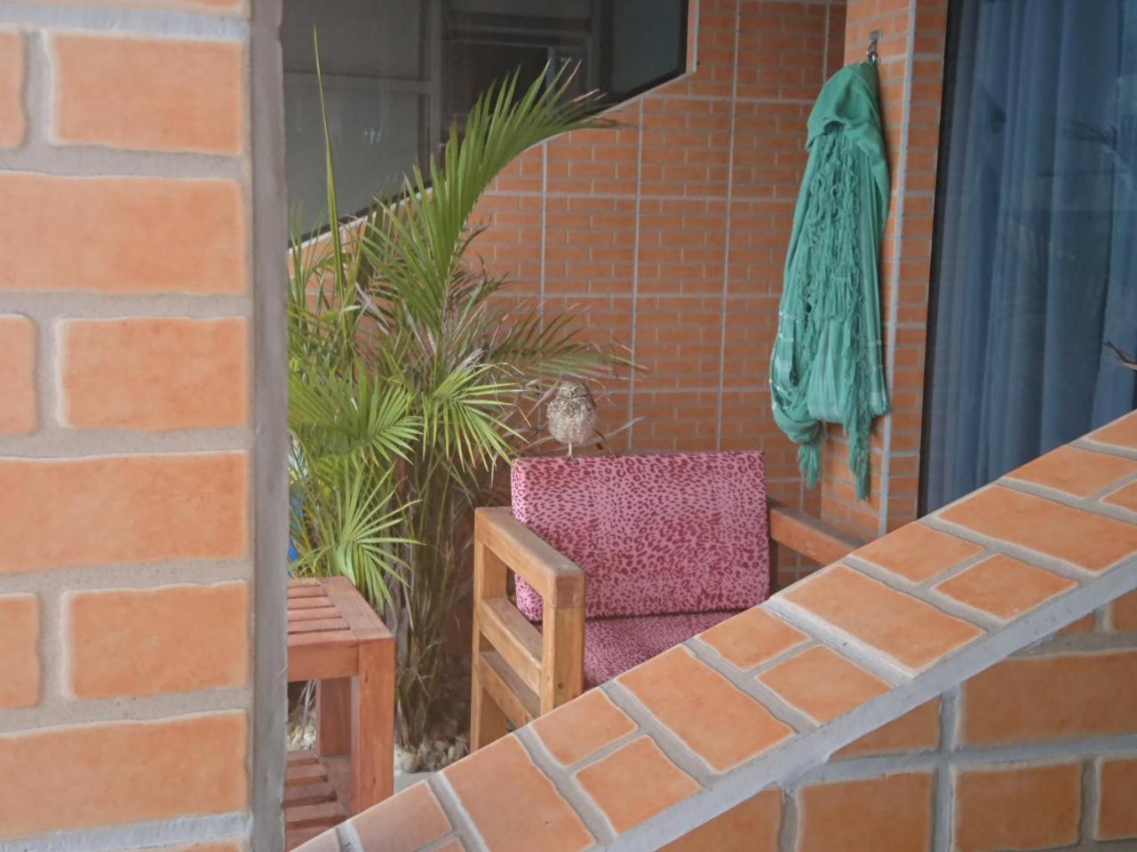 Pousada Suites Do Santinho Florianópolis Buitenkant foto